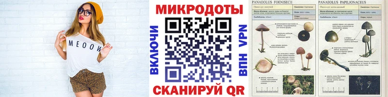 Псилоцибиновые грибы MAGIC MUSHROOMS хочу hydra как зайти Лагань