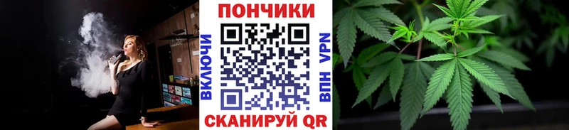 купить  сайты  Лагань  Марихуана конопля 